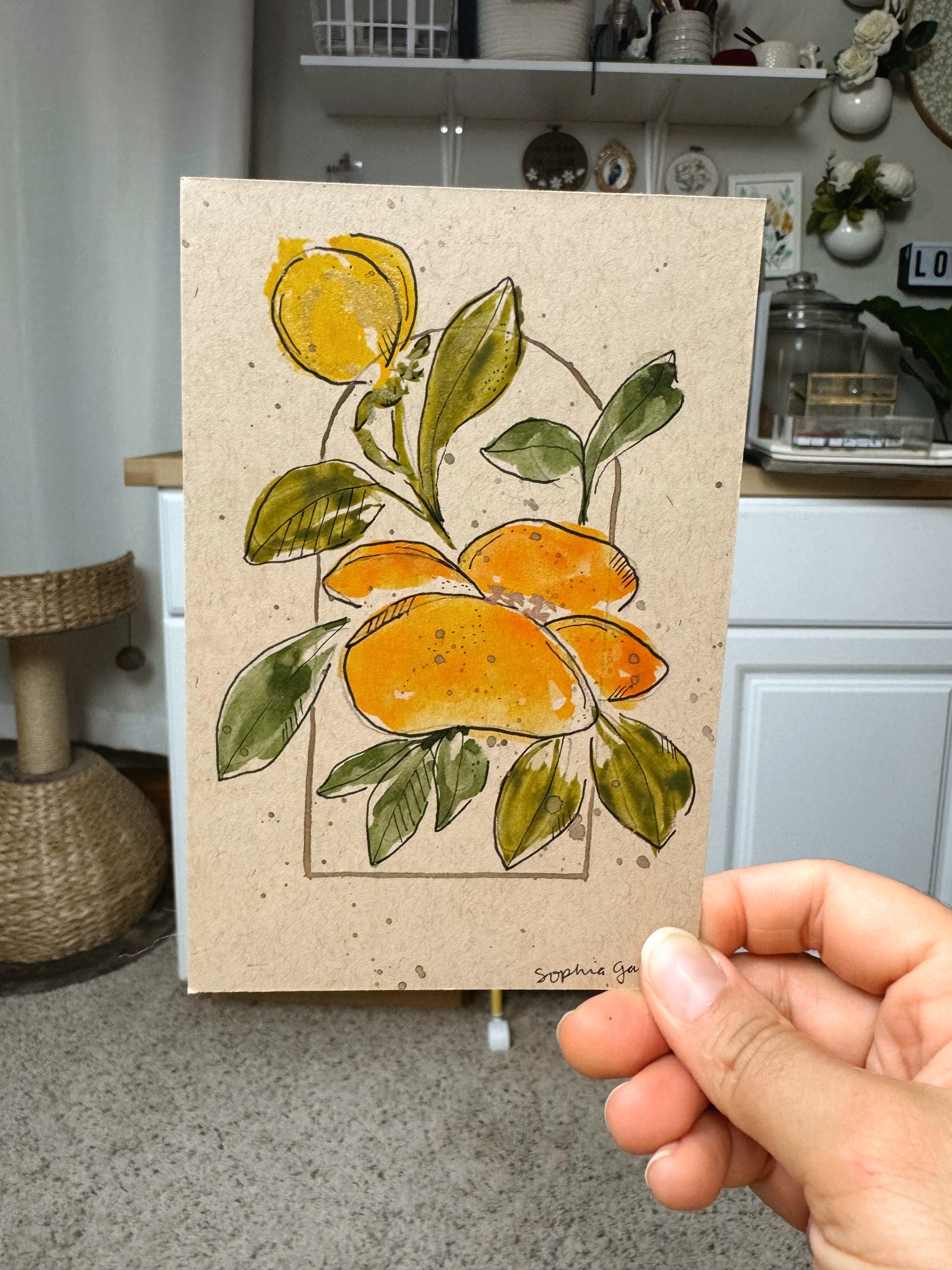 Brush & Bloom: Meadow Light 02/15