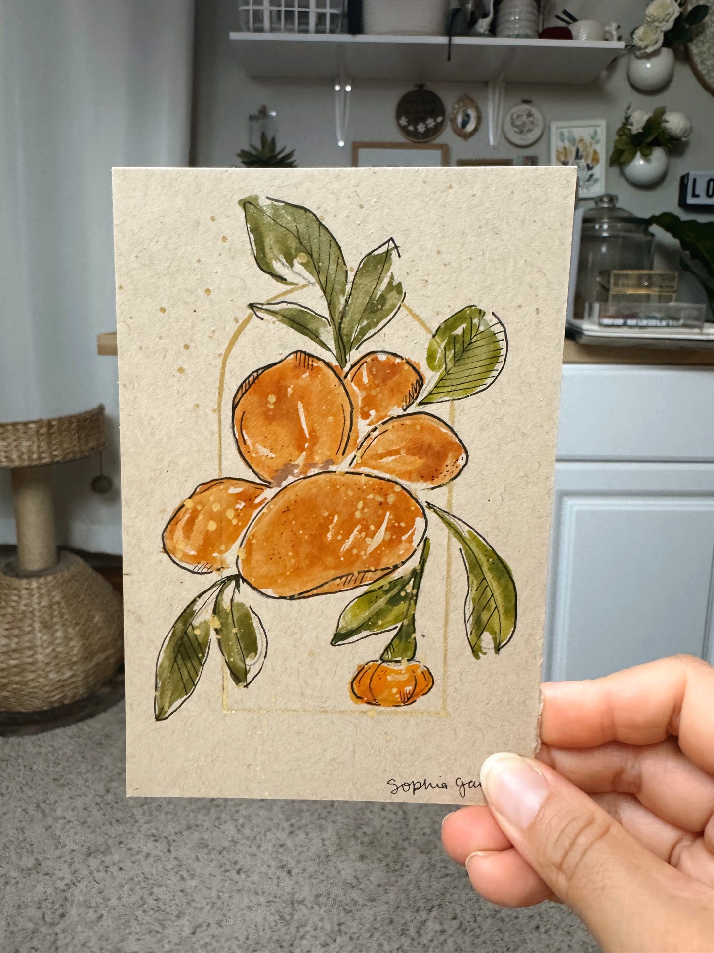 Brush & Bloom: Meadow Light 05/15