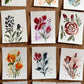 Mini Bloom Bundle - 4x3 watercolor cards,  Set of 3