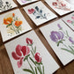 Mini Bloom Bundle - 4x3 watercolor cards,  Set of 3