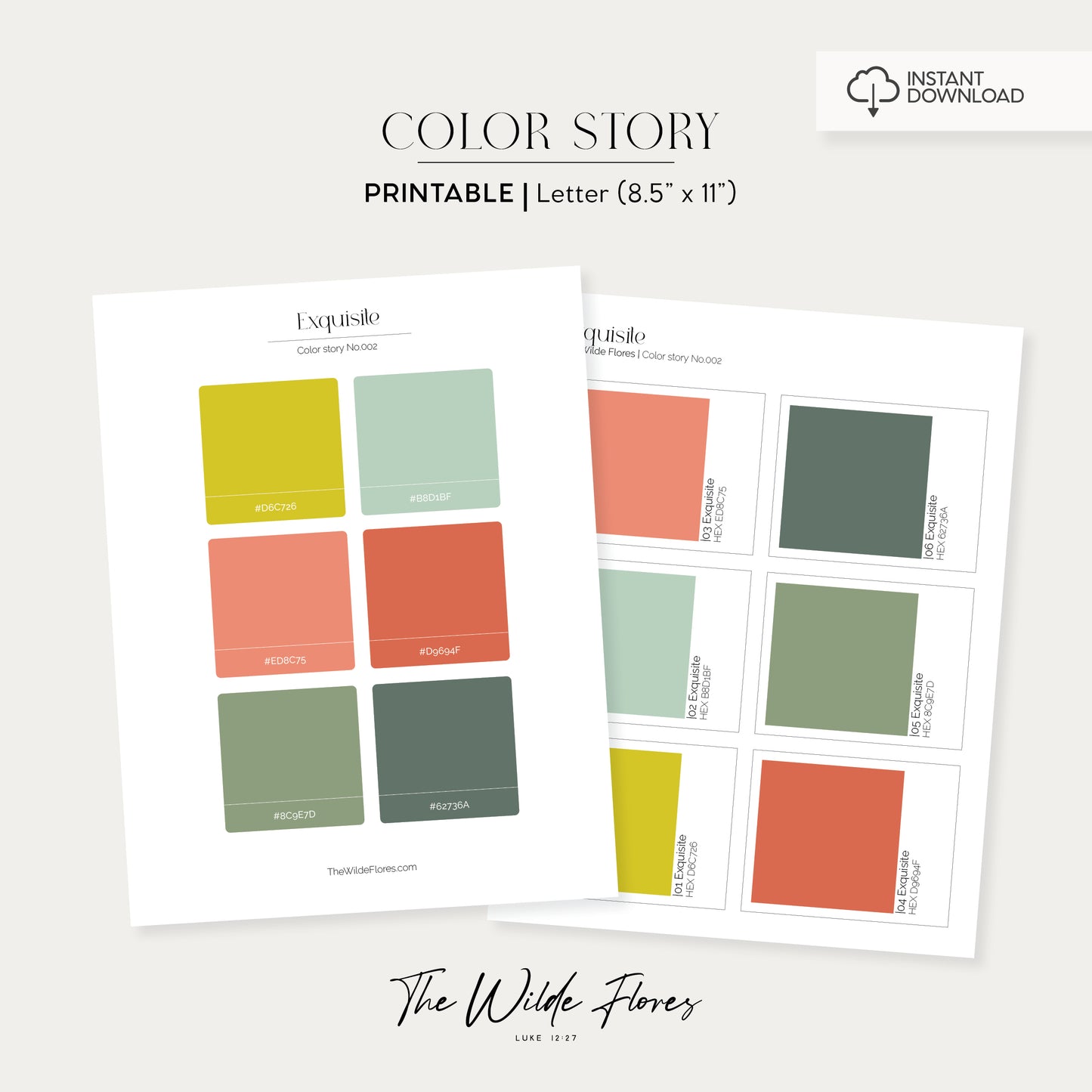 Exquisite Color Story: Color Palette Guide – The Wilde Flores
