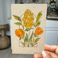 Brush & Bloom: Meadow Light 11/15