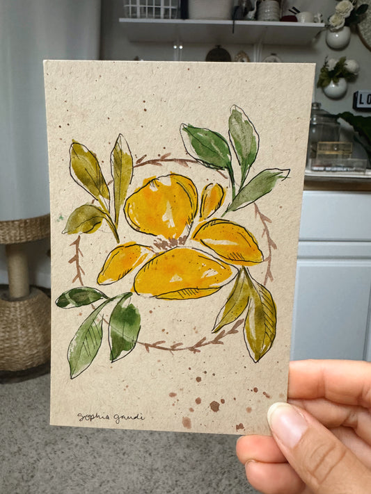 Brush & Bloom: Meadow Light 14/15