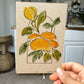 Brush & Bloom: Meadow Light 02/15