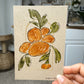 Brush & Bloom: Meadow Light 05/15