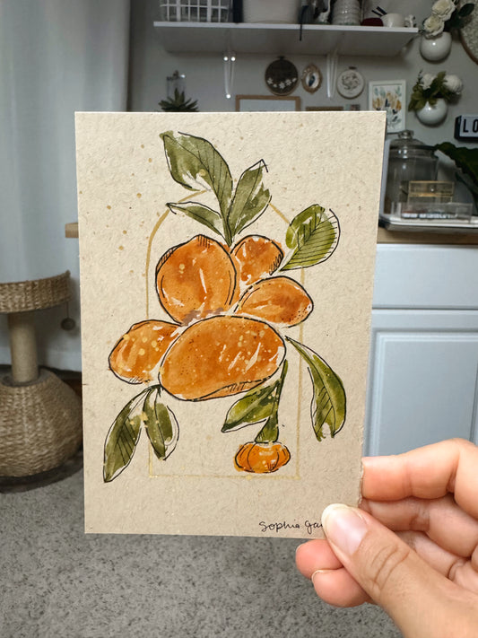 Brush & Bloom: Meadow Light 05/15
