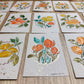 Brush & Bloom: Meadow Light 15/15