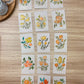 Brush & Bloom: Meadow Light 15/15