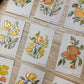 Brush & Bloom: Meadow Light 15/15