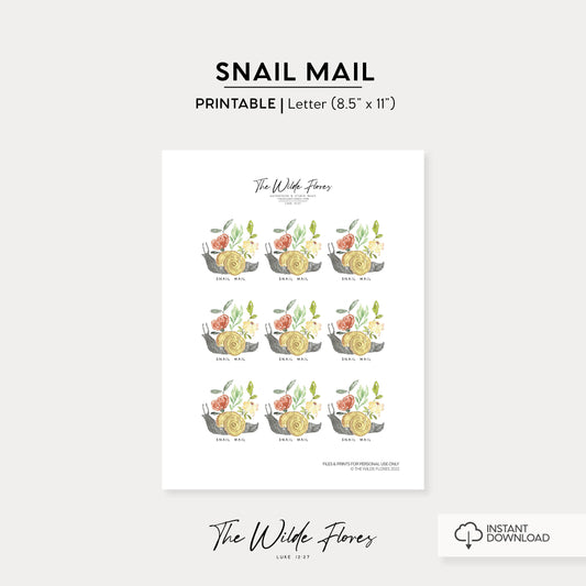 Snail Mail | Printable Stickers